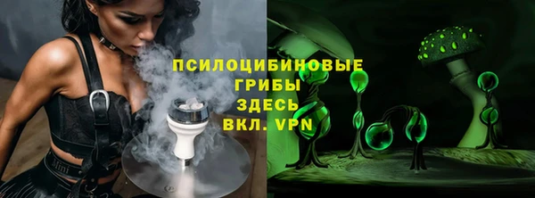 ПСИЛОЦИБИНОВЫЕ ГРИБЫ Алзамай